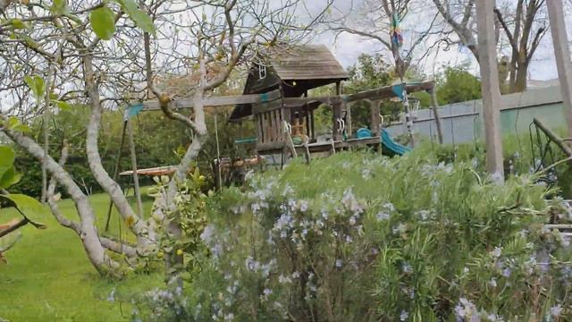 The Dad Gardener episode #63 Pruning Your Apple 🍏 Tree. смотреть онлайн