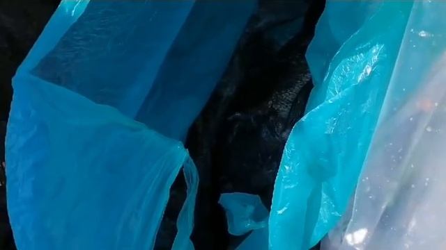 Окунь Шлегеля и терпуг на воблер 80 мм 13 гр №18 от Mr.Musurok  🎣