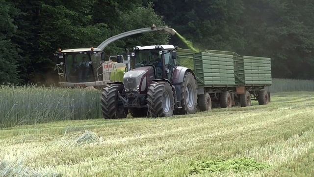 Roggen Häckseln | Claas Jaguar 950 & Fendt Vario 927,930,820 смотреть онлайн