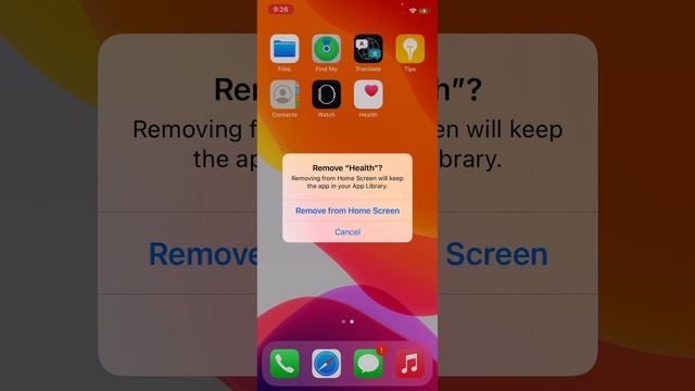 IPhone IOS 14.0  AppLibrary