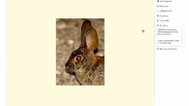 Editing photos with Windows Live Photo Gallery смотреть онлайн