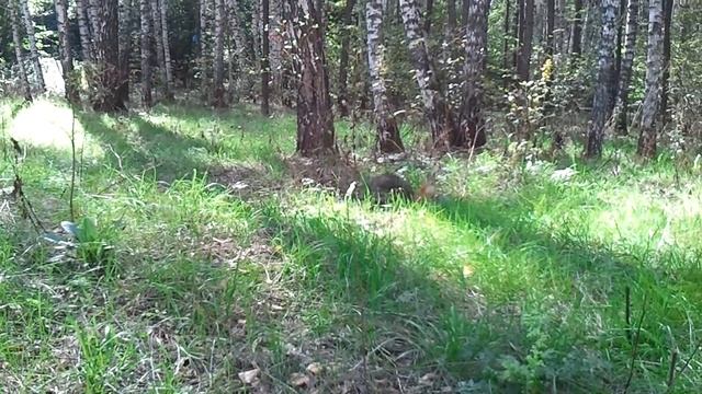 Video0005.mp4 смотреть онлайн