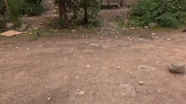 NEVER spend $$$$ on ARB again смотреть онлайн