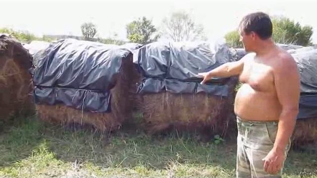 seno смотреть онлайн