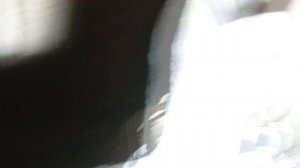 Как установить предпусковой подогреватель 220 вольт на иномарку