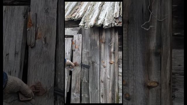 Тайна старого сарая! смотреть онлайн