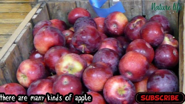 There are many kinds of apple you never know смотреть онлайн