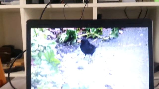 Windows Photogallery in screensaver options смотреть онлайн