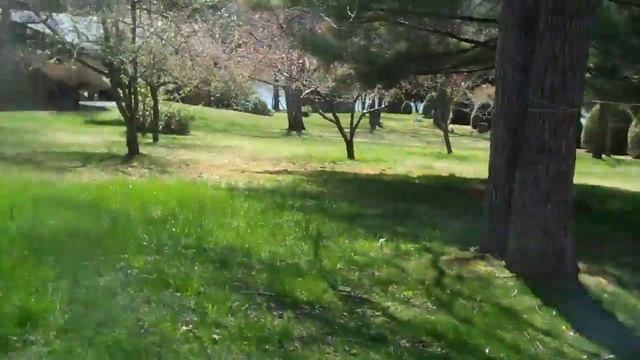 Spring Yard Work Cutting Apple Tree смотреть онлайн