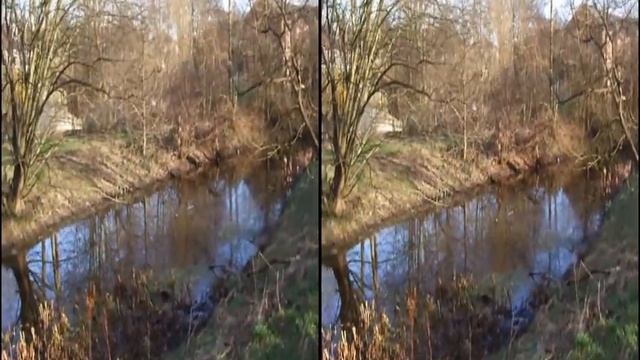 Amazing 3D Pond.mp4 смотреть онлайн