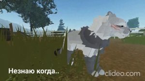 Вот так было с Серой Лапой