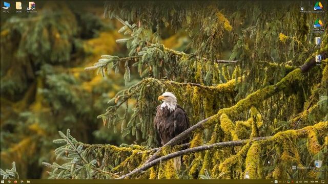 Today (June 21, 2023) Microsoft Bing wallpaper image смотреть онлайн