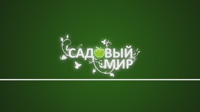 СКАМЕЙКА ПЕРЕВЕРТЫШ / БОРДЮР РОТАНГ / СЕТКА САДОВАЯ - Видео с канала "Садовый мир"