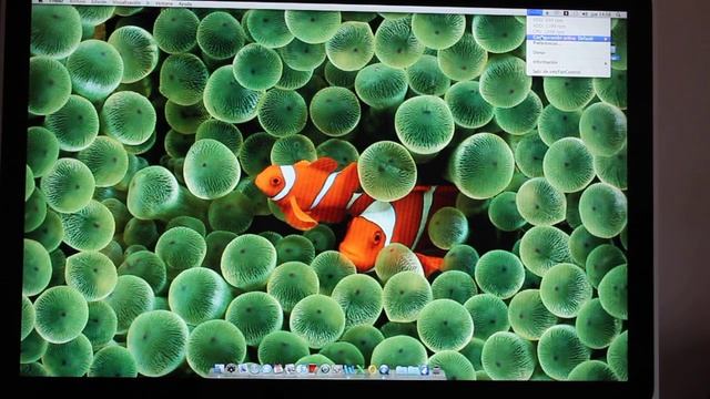 iMac 2008 Leopardo de Nieve Eneko смотреть онлайн