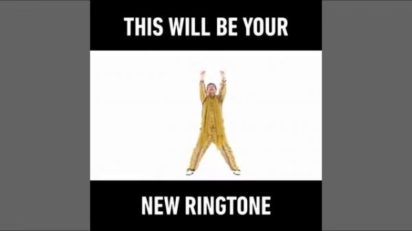 apple pen pineapple pen