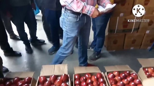 low investment business assam apple wholesale new market dhupdhara смотреть онлайн