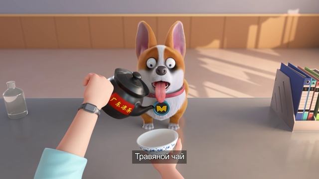 Корги по имени Моко. Простые истории 2, 7 серия. Разные виды лечения