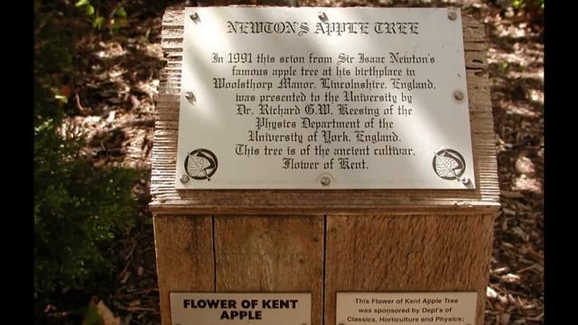 WHERE'S NEWTON'S APPLE TREE ? смотреть онлайн