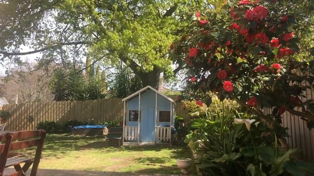 Window Swap - View of a sunny Melbourne backyard смотреть онлайн