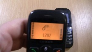 Incoming call & Outgoing call at the Same Time  teXet 111 +Samsung 1200M black