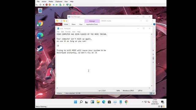 MEMZ VS PROCESS HACKER 2(Windows 11) смотреть онлайн
