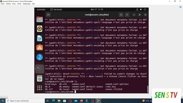 Installation et Configuration du serveur DNS sous ubuntu 22.04 смотреть онлайн