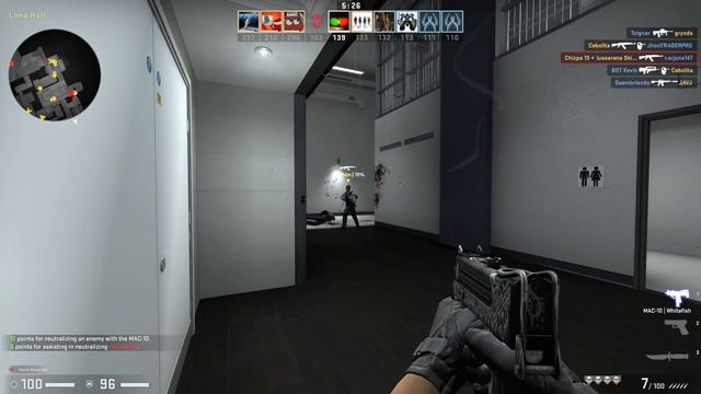 CSGO MAC-10 Whitefish Field Tested смотреть онлайн