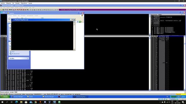 Buffer Overflow Windows Sp2