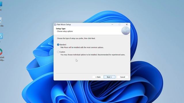 How To Install Pale Moon Browser on Windows смотреть онлайн