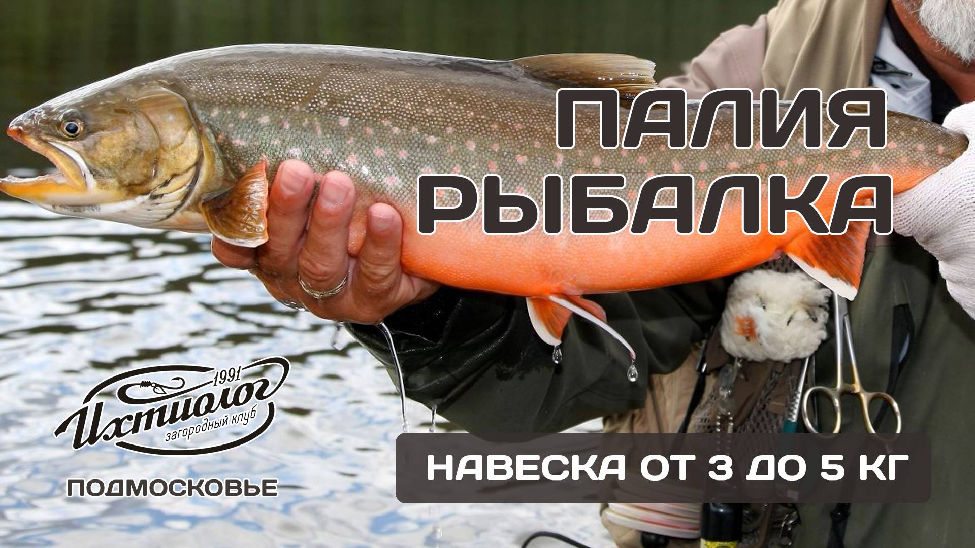 Запустили редкую эксклюзивную рыбу! Рыбалка в Подмосковье Загородный клуб Ихтиолог смотреть онлайн