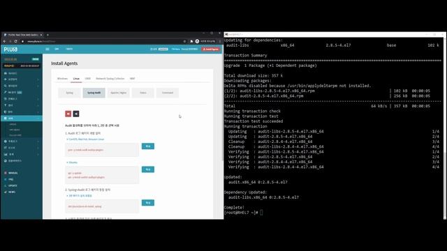 Agent Installation Guide for Linux Syslog Audit смотреть онлайн