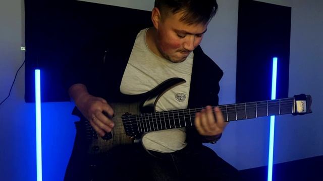 NK Guitar. ARB Pickups - Puncher