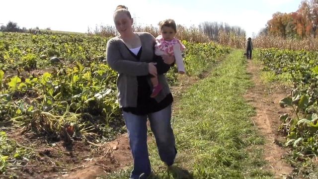 Pumpkin Picking смотреть онлайн
