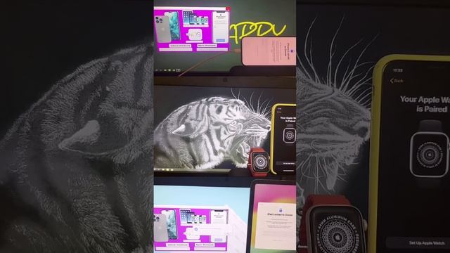 HACK iCloud vedio project смотреть онлайн
