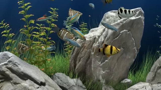 Dream Aquarium sreensaver HD смотреть онлайн