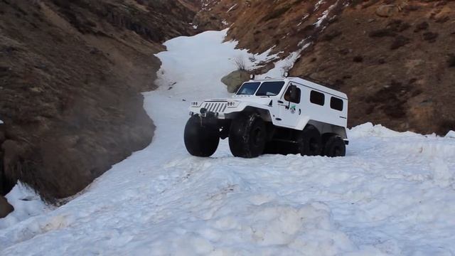 Trip To The Future, With A Trecol