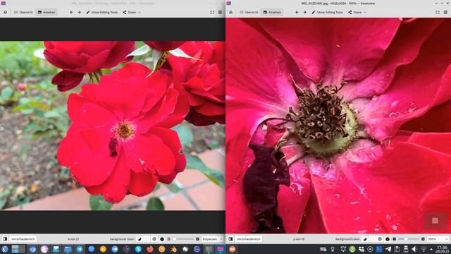P50 Pro vs iPhone 13 Pro - Ultimate Camera Comparison смотреть онлайн