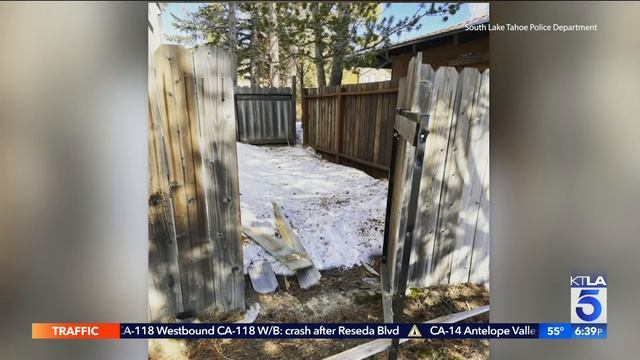 Huge bear ‘Hank the Tank’ has broken into dozens of Lake Tahoe homes as it eludes capture смотреть онлайн