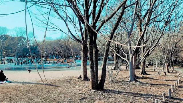 Teal & Orange iPhone XS + Filmic Pro + PM LUT смотреть онлайн