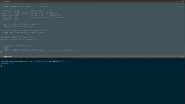 Vagrant + Behat + PhantomJS Test Run смотреть онлайн