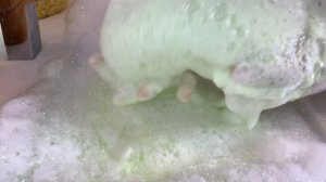 🍃🍏 GREEN APPLE + MINT 🍏🍃 Sudsy Paste - sponge ASMR