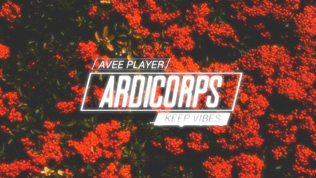 Avee Player Template 2019 смотреть онлайн