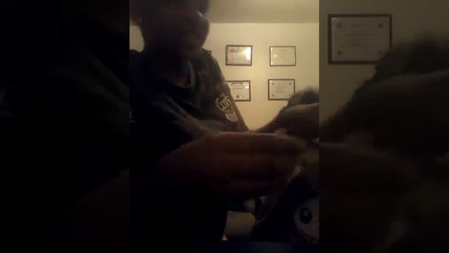 The juicy fruit sour green apple gum challenge смотреть онлайн