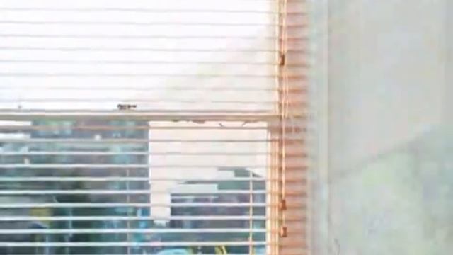 Cambridge Blind Spot смотреть онлайн