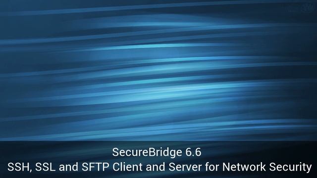 Download SecureBridge 6.6 смотреть онлайн
