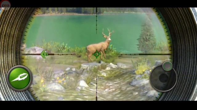 hunting clash game | ofo gaming. смотреть онлайн
