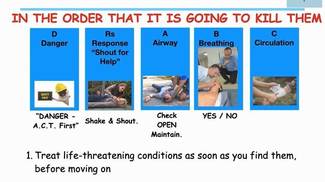 HOLOS TOP TIP 01 WHAT HAPPENS WHEN MY MIND GOES BLANK WHEN FACING A FIRST AID EMERGENCY смотреть онлайн