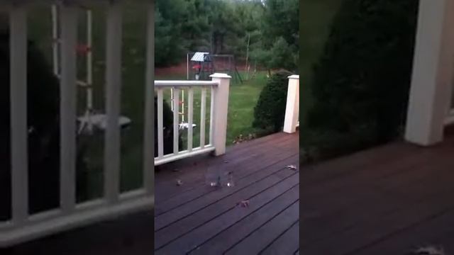 Helucopter time смотреть онлайн