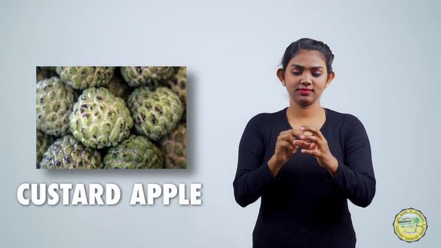 Custard Apple | Indian Sign Language смотреть онлайн