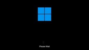 Windows 11 Kill Screen 2